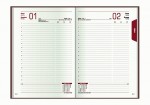 Ежедневник датированный, SPECTRUM, А5, красный, печатный переплет, Е21849 Е21849