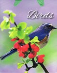 Пакет подарочный 'Birds', в ассортименте 23x18x9см, RSS-539-541 RSS-539-541