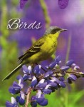 Пакет подарунковий 'Birds', в асортименті 23x18x9см, RSS-539-541 RSS-539-541