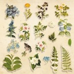 Набір паперових висічок для скрапбукінгу 'Botany summer' 58шт. FDSDC-04018 FDSDC-04018