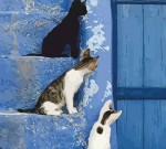 Набір-стандарт, картина за номерами, акриловий живопис, 'Кошенята на сходах', 35*45см, ROSA START