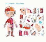 Розвиваюча гра 'Магнітне тіло', 123 елементи, 200220, Dodo Toys 200220