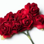 Набір декоративних паперових троянд на стеблах Червоні 2,5 см. 8 шт. HY0010018525-1