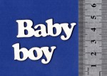 Чипборд 'Baby boy' 19х89мм СЛ-040 СЛ-040