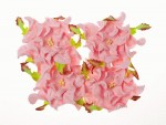 Набір квітів Гарденії, ніжно-рожеві, d7см, 4шт. SCB290203 SCB290203