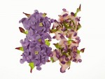 Набор цветов Гардении, фиолетовые и фиолетово-зеление, d5см, 4шт. SCB290111 SCB290111