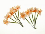 Набор цветов Лилии на стебле, сливочно-персиковые, 10шт. SCB290406 SCB290406