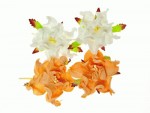 Набір квітів Гарденії, білі і персикові, d5см, 4шт. SCB290114 SCB290114