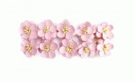 Квіти вишні з шовковичного паперу, світло-рожеві, d25мм, 10шт. SCB300202 SCB300202