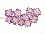 Квіти вишні з шовковичного паперу, фіолетово-білі, d25мм, 10шт. SCB300208 SCB300208