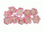 Квіти вишні з шовковичного паперу, рожеві з білим, d25мм, 10шт. SCB300204 SCB300204