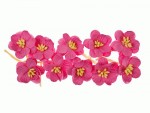 Квіти вишні з шовковичного паперу, яскраво-рожевий, d25мм, 10шт. SCB300205 SCB300205