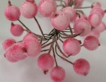 Веточки с ягодками с посыпкой, 20шт. розовые