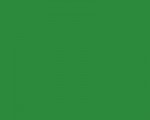 Олівець кольоровий Marco Renoir, Foliaqe Green 69, Fine Art 69