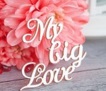 Чипборд 'My Big Love '50х33мм Hi-233 Hi-233
