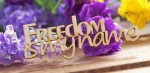 Чипборд 'Freedom is my name' 25х65мм SL-426 SL-426