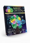 Набір для проведення дослідів, 'Magic Crystal', OMC-01-04, Danko Toys OMC-01-04