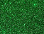 Сухие блестки (глиттер), Зеленые 0,8мм, JJCD02, 7г. JJCD02