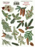 Набор наклеек (стикеры) 'Winter Botanical diary', 16шт., 21*16см, FDSTK-232 FDSTK-232