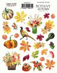 Набор наклеек (стикеры) 'Botany autumn ', 21 * 16см, FDSTK-071 FDSTK-071