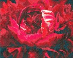Набор акриловой живописи по номерам. Букет 'Изысканный цветок' 40*50см. KHO3121 KHO3121