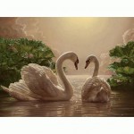 Набір акриловий живопис за номерами 'Пара лебедів' 40*50см КНО301