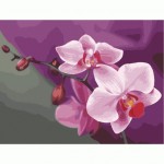 Набір акриловий живопис за номерами 'Рожеві орхідеї' 40*50см КНО1081