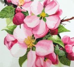 Набір-стандарт, картина за номерами, акриловий живопис, 'Яблуневий цвіт', 35*45см, ROSA START
