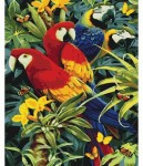 Набір акриловий живопис за номерами 'Різнокольорові папужки' 40*50см, KHO4028 KHO4028