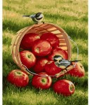 Набір акриловий живопис за номерами 'Хрусткі яблука' 40*50см, KHO2469 KHO2469
