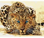 Набір акриловий живопис за номерами 'Дика кішка' 40*50см, KHO2450 KHO2450