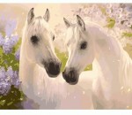 Набір акриловий живопис за номерами 'Пара коней' 40*50см, KHO2433 KHO2433