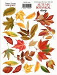 Набор наклеек (стикеров) 'Autumn botanical diary', 21*16см, FDSTK-224 FDSTK-224