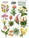 Набір наклейок (стікери) 'Botany exotic', 21*16см, FDSTK-204 FDSTK-204