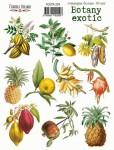 Набор наклеек (стикеров) 'Botany exotic', 21*16см, FDSTK-209 FDSTK-209