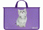 Портфель пластиковий А4 на блискавці MAXI, MX30001-04 MX30001-04