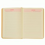 Дневник твердый Leo planner А5 недатированный 'Levita', 352 СТР., 251989 251989