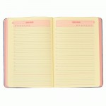 Дневник твердый Leo planner А5 недатированный 'Mondo', 352 СТР., 251997 251997