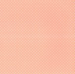 Набір двостороннього паперу для скрапбукінгу It’s a Girl! Dots and Stripes, 15Х15см, 24арк. CBIG51030