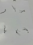Набор золотистых и цветных подвесок, Перья и стрелы 6шт. Gold / Bright Charms, Paper Studio