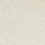 Набор двустороннего фонового бумаги для скрапбукинга 30 * 30см 'Shabby texture', 175г / м2, 12 л FDSP-04005