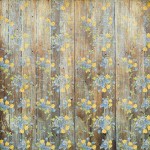 Набор двусторонней бумаги для скрапбукинга 30,5 * 30,5см 'Botany spring', 200г / м2, 10 л. 01066 01066