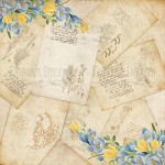Набор двусторонней бумаги для скрапбукинга 30,5 * 30,5см 'Botany spring', 200г / м2, 10 л. 01066 01066