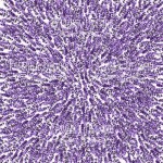 Набор двусторонней бумаги для скрапбукинга 30,5 * 30,5см 'Lavender Provence', 200г / м2, 10 л., 01064 01064