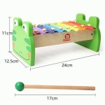 Ксилофон 'Лягушонок', Frog Xylophone Green, 7136, TOP BRIGHT 7136