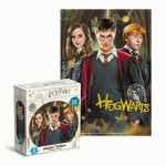 Пазл Medium-S «Harry Potter. Гаррі та друзі», 250 елементів, DoDo, 200498 200498