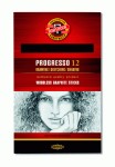 Карандаш цильнографитний Progresso, 2В 8911/2В