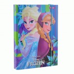 Папка для зошитів картонна B5 'FROZEN', 1 Bересня, 491672 491672