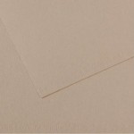 Папір CANSON Mi-Teintes, 160g,  А4, 21х29,7, №122 Flannel gray №122 Flannel gray