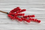 Веточка бузины с красными ягодками 19 см. HY0010013752
